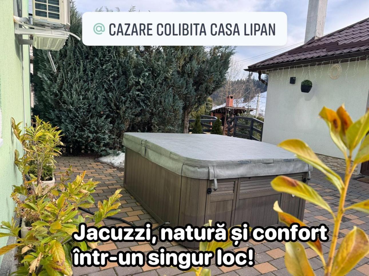 Cazare Colibita Casa Lipan Extérieur photo